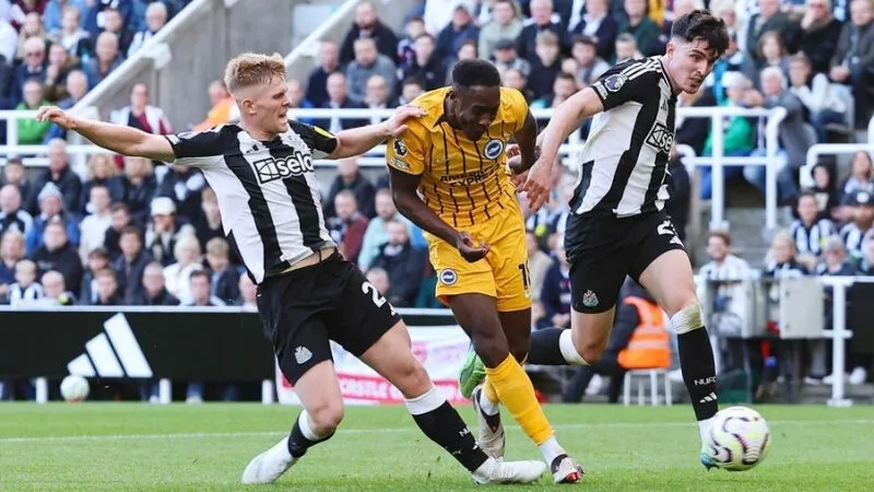 Soi Kèo Nhà Cái Brighton vs Newcastle - 04/05/2025 - Ngoại Hạng Anh 5 Dự đoán kết quả Brighton vs Newcastle
